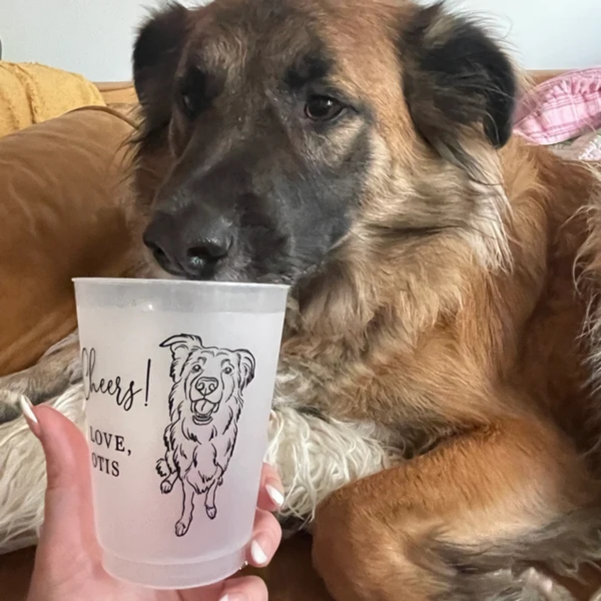 10/50 個別化されたフロスト加工プラスチックカップ、50 - Plastic Cup 50Pcs のレビューと価格